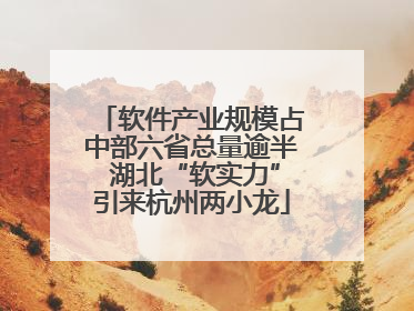 软件产业规模占中部六省总量逾半 湖北“软实力”引来杭州两小龙