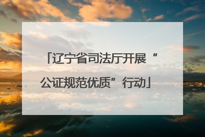 辽宁省司法厅开展“公证规范优质”行动