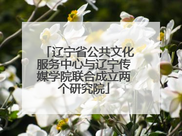 辽宁省公共文化服务中心与辽宁传媒学院联合成立两个研究院
