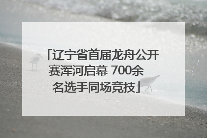 辽宁省首届龙舟公开赛浑河启幕 700余名选手同场竞技