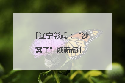 辽宁彰武：“沙窝子”焕新颜