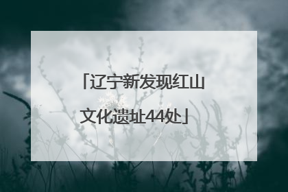辽宁新发现红山文化遗址44处