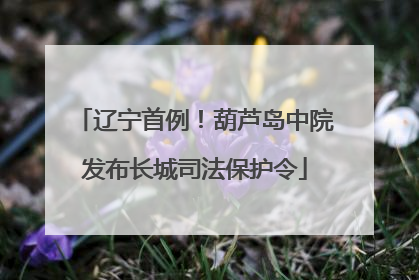 辽宁首例！葫芦岛中院发布长城司法保护令