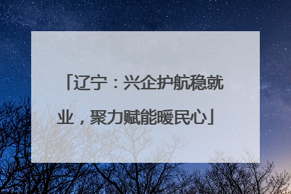 辽宁：兴企护航稳就业，聚力赋能暖民心