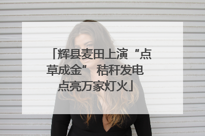 辉县麦田上演“点草成金” 秸秆发电点亮万家灯火
