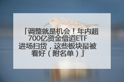 调整就是机会！年内超700亿资金借道ETF进场扫货，这些板块最被看好（附名单）