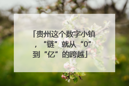 贵州这个数字小镇，“链”就从“0”到“亿”的跨越