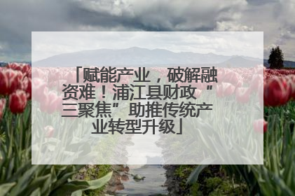 赋能产业，破解融资难！浦江县财政“三聚焦”助推传统产业转型升级