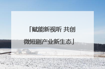 赋能新视听 共创微短剧产业新生态