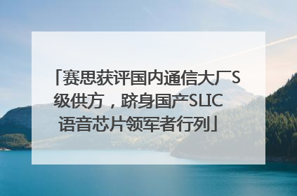 赛思获评国内通信大厂S级供方，跻身国产SLIC语音芯片领军者行列