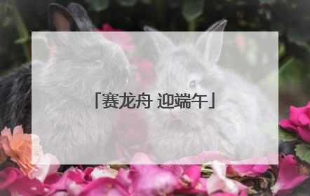 赛龙舟 迎端午