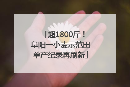 超1800斤！阜阳一小麦示范田单产纪录再刷新