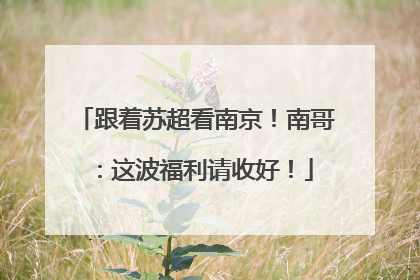 跟着苏超看南京！南哥：这波福利请收好！