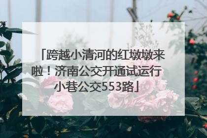 跨越小清河的红墩墩来啦！济南公交开通试运行小巷公交553路