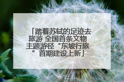 踏着苏轼的足迹去旅游 全国首条文物主题游径“东坡行旅”首期建设上新
