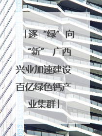 逐“绿”向“新” 广西兴业加速建设百亿绿色钙产业集群