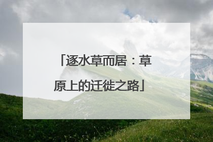 逐水草而居：草原上的迁徙之路