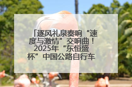 逐风礼泉奏响“速度与激情”交响曲！2025年“东恒盛杯”中国公路自行车联赛第五站（陕西·礼泉站）正式开赛