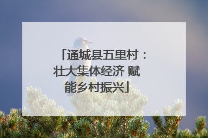 通城县五里村：壮大集体经济 赋能乡村振兴