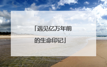 遇见亿万年前的生命印记