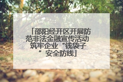 邵阳经开区开展防范非法金融宣传活动 筑牢企业“钱袋子”安全防线