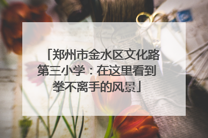 郑州市金水区文化路第三小学：在这里看到拳不离手的风景