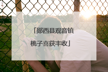 郧西县观音镇桃子喜获丰收