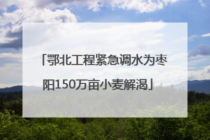 鄂北工程紧急调水为枣阳150万亩小麦解渴