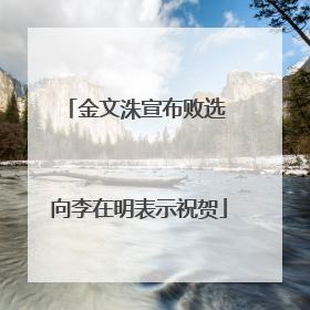 金文洙宣布败选 向李在明表示祝贺