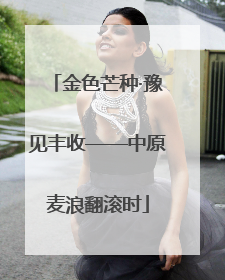 金色芒种·豫见丰收——中原麦浪翻滚时