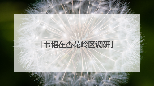 韦韬在杏花岭区调研