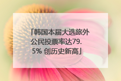 韩国本届大选旅外公民投票率达79.5% 创历史新高