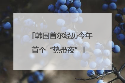 韩国首尔经历今年首个“热带夜”