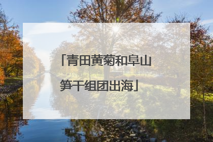 青田黄菊和阜山笋干组团出海