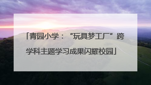 青园小学：“玩具梦工厂”跨学科主题学习成果闪耀校园