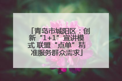青岛市城阳区：创新“1+1”宣讲模式 联盟“点单”精准服务群众需求