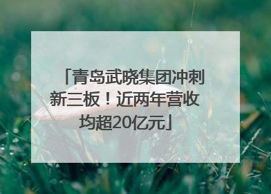 青岛武晓集团冲刺新三板！近两年营收均超20亿元
