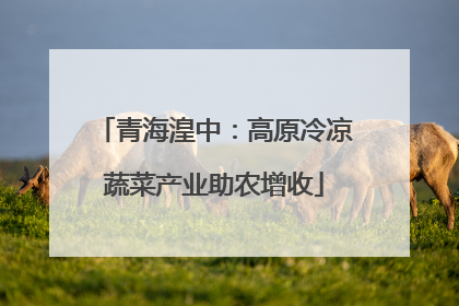 青海湟中：高原冷凉蔬菜产业助农增收