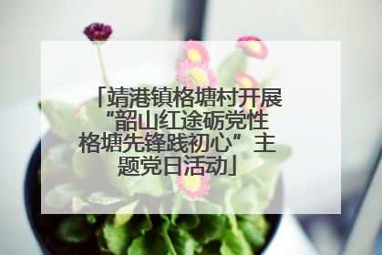 靖港镇格塘村开展“韶山红途砺党性 格塘先锋践初心”主题党日活动