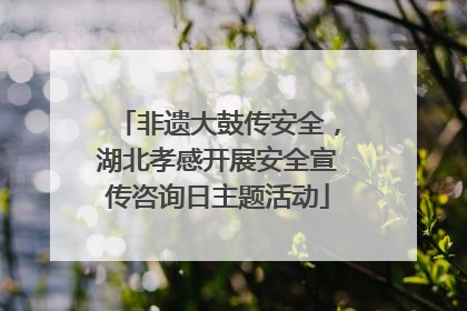 非遗大鼓传安全，湖北孝感开展安全宣传咨询日主题活动