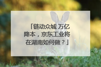 链动众城 万亿降本，京东工业将在湖南如何做？