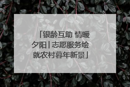 银龄互助 情暖夕阳│志愿服务绘就农村暮年新景