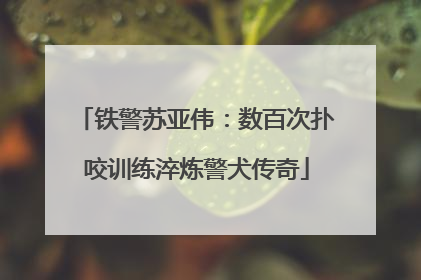 铁警苏亚伟：数百次扑咬训练淬炼警犬传奇