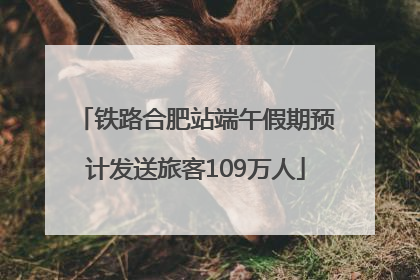 铁路合肥站端午假期预计发送旅客109万人