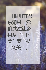 铜川宜君东湖村：党群共建让乡村从“一时美”变“持久美”