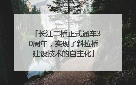 长江二桥正式通车30周年，实现了斜拉桥建设技术的自主化