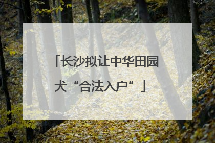 长沙拟让中华田园犬“合法入户”
