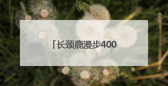 长颈鹿漫步400米完成动物园里的“非洲迁徙” 红山森林动物园完成怀孕长颈鹿步行转运