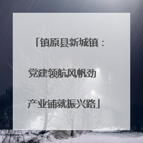 镇原县新城镇：党建领航风帆劲 产业铺就振兴路