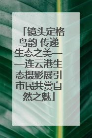 镜头定格鸟韵 传递生态之美——连云港生态摄影展引市民共赏自然之魅